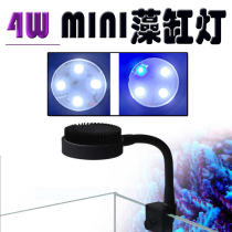 Special MINI micro-cylinder algae cylinder lamp Land and water lamp aquatic plant lamp LED coral lamp 4W suitable for 15-20 micro-cylinder 