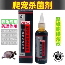 Black flag turtle family crawling pet special disinfection fungicide povidone iodine solution turtle rot skin armor aquarium disinfection