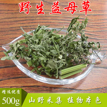 Motherwort wild Chinese herbal medicine Motherwort Ai herbal tea 500g sulfur-free smoked female physiological amount is small health camellia tea