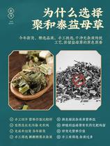 Motherwort fresh brown sugar ginger non-wild foot soaking water Tea Chinese herbal medicine flower tea dried motherwort tea dried motherwort tea