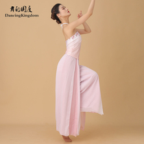 Dance of the country classical dance vest practice uniforms no trace sling bottoming coat Chinese Dance Dance suit