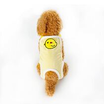 Female dog physiological pants Pet dog hygiene pants Anti-harassment small dog Teddy menstrual pants can replace aunt towel