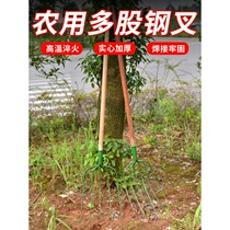 Agricultural fork fork fork grass iron fork steel fork tool straw fork large fork extra large Three tooth manure fork three strand bean sprout fork