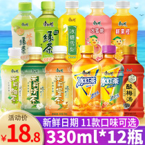 Master Kong iced black tea 330ml * 12 mini small bottle drink green tea jasmine tea combination drink whole box