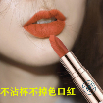 Big name does not fade cup carrot color lipstick waterproof not decolorized yellow skin white natural matte