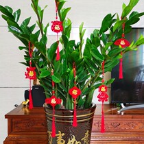 Bonsai potted red fortune tree on small red lantern ornaments pendant mini blessing Chinese knot festive decoration