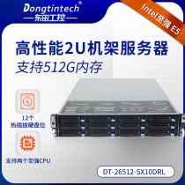 2U rack server DT-26512-SX10DRL 512g 12 disk to strong high storage server host