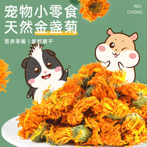 Bull Pampers snacks 50g Rabbit Rabbit Dragon Cat Tian Geranium Dutch Pig Guinea Pigs for Pet Hamster Nutrition Snacks