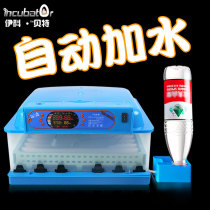 Icobet hatching machine Automatic household incubator Small intelligent chicken duck goose pigeon Quail egg hatcher