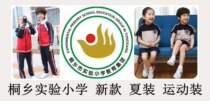 New school designated store Hangzhou Shixing Clothing Tongxiang Experimental Primary School Summer Sportswear School Uniform