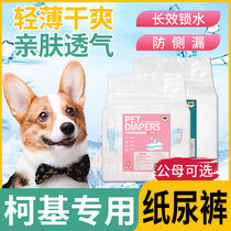 Kokie special male dog menstrual physiological paper pee diaper diaper not wet pet politeness with ultra-thin aunt Sanitary Napkins