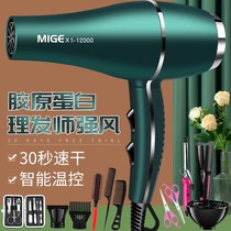 Hair dryer barber shop Gale hair salon dedicated high power 3000w strong wind w