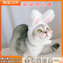 Kitty Puppy Rabbit Ear Headgear Pet Rabbit Cute Hat Dress Photo Puppy Head Accessories Sell Cute Cat Headsets