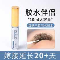 Mile graft eyelash glue companion softening quick-drying reinforcement agent false eyelash glue mild and long lasting