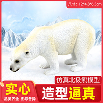 Foreign Research Society simulation animal polar bear marine biological toy animal model boy early childhood education cognitive gift