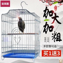 Starling cage Xuanfeng thrush pigeon Wren parrot cage Stainless steel thick electroplated bird cage large villa breeding