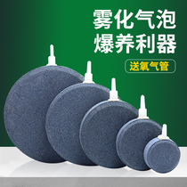 Nano air plate Stone Fish Tank bubble stone oxygen pump bubble plate silent air refiner gas head sand head