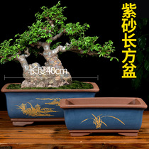  Purple sand square rectangular extra large diameter old pile rockery ceramic bonsai bonsai household horse bonsai