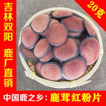 Deer antler red powder tablets 20g deer antler tablets dry tablets Shuangyang deer township northeast Changbai mountain specialty bubble wine Jilin sika deer