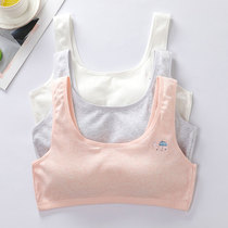 Girls Bra Junior High School High School Students 14-16-17 years old Development Vest Small Vest Middle and Big Children Girls Cotton Underwear