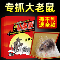 Sticky Rat Board Super Power Big Stained Mouse Stickler Glued to Mice Repellent to Mouse Insect Repellent for Home Medicine One cohorts end