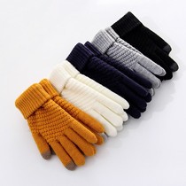 Winter Warm Gloves Male Lady Universal Touch Screen Wool Thread Knit Plus Suede Thickened riding Driving Anti-cold Korean version