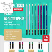 237 Charcoal Pen Sketch Sketch Special Soft Hard College Entrance Examination Special Teachers Recommend Remont Purple Pole Charcoal