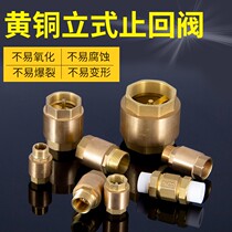 4 Discrete check valve 6 points ppr water pipe check valve 1 inch stop valve dn15 20 25 water meter check valve