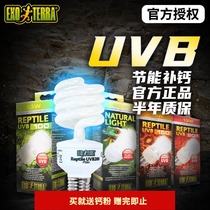 New pet reptile UVB light bulb Chameleon lizard light Calcium supplement Turtle sun back light Climbing pet light UVB turtle light