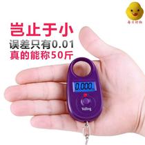 Came fish hand-held portable electronic scale hook called portable small special shopping precision household hand-held