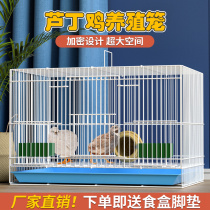 Luding Chicken Exclusive Cage Luding Chicken Fermented Bed Cage Quail Small Chicken Pet Rearing Breeding Cage Breeding Cage