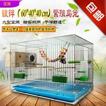 Large enlarged bold weighted galvanized breeding cage peony parrot bird cage Xuanfeng starling pigeon large bird cage