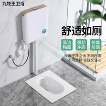 Household ceramic squatting toilet flush tank set large size toilet Potty toilet squat pit type urinal