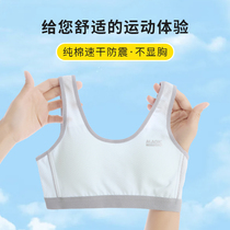 Girlsunderwear haired adolescent girls bra students All cotton inside Vest Junior High School High School Students No Steel Ring Thin