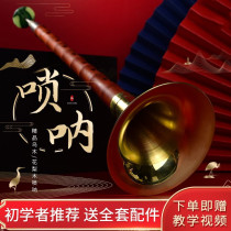 Musical instrument book Suona beginners unpopular simple easy to learn small playing class full set of ethnic niche small professional