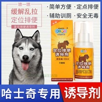Hasetsch Private defecation positioning dog Inducers Training Toilet Liquid Guide Urine agent Toilet Guide to Divine Instrumental