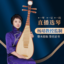 Xinghai Yang Jing produced a pipa musical instrument Austenitic sandalwood quality acid branch examination to play pipa 8974JZ