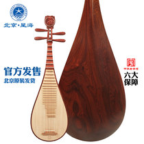 Xinghai Pipa musical instrument Log polished big fruit rosewood material Xiangyun headdress Playing grade mahogany pipa 89119