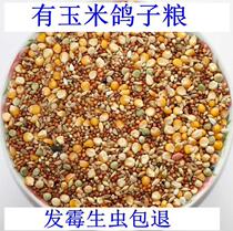 10 catfish fitted with corn dove food racing Nutrient Feed Bird Food sindrome Geon Watch Pigeon Meat Dove Pigeon Food Pigeon Food