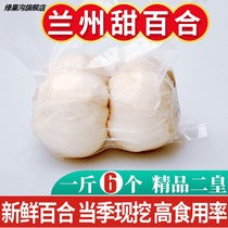 Lanzhou Fresh Lily Farm Pure Sweet Edible Natural Raw White Hehe 500g Specialty Grade Dry Goods