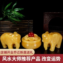 Natural jade elephant ornaments A pair of water-absorbing lucky jade elephants Home cornucopia living room housewarming gift decorations