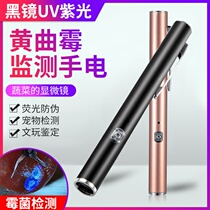 Aflatoxin test Fluorescent agent detection pen Purple light mold identification Anti-blue UV banknote detection flashlight