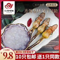 Renxing Hexue Clam Flagship store 8-9g whole dried snow clam Xueha Northeast forest frog dried papaya stewed snow clam oil