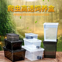 Reptile Crawler Spider Guard lizard scorpion centipede horned frog turtle snail feeding box pet snake plastic feeding box