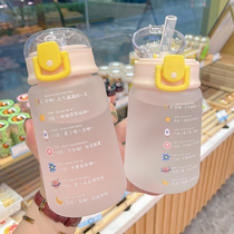 Water Cup portable girl cute 2021 summer new net red high color value student girl with straw Cup maternal