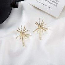 S925 silver needle Sunflower European and American style exaggerated fashion earrings Net red temperament female earrings retro earrings F67