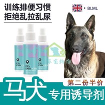 Mdog special training to guide the small dog location Inducing Agent Spray to mess up the Urine God puppies to pee and relieve themselves