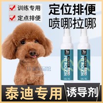 Teddy special dog-inducing agent defecate on the toilet and guides the puppy training to defecate the familys toilet