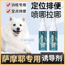 Samoye Private Boosting Doggy Inducing Agent Bowels to Toilet Guide Liquid Supplies Defecation Home Indoor