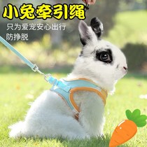 Slip Rabbit Traction Rope Anti-Escape Small Rabbit Out Special Bolt Rope Clothes Dwarf Rabbit Rope Walking Rabbits Divinity